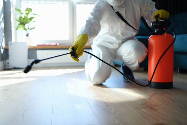 Reliable Hoarding Cleanup contractor in Coulterville, IL by Trauma Clean Pros